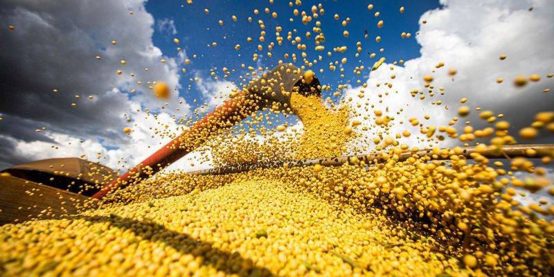 Safra agrícola deverá superar 318 milhões de toneladas neste ano