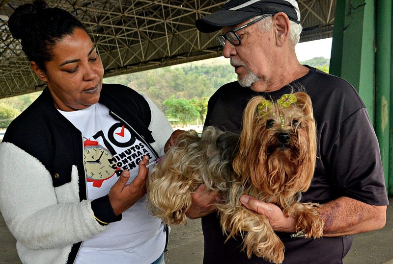 Volta Redonda vacina contra a raiva mais de 21,7 mil animais, entre cães e gatos