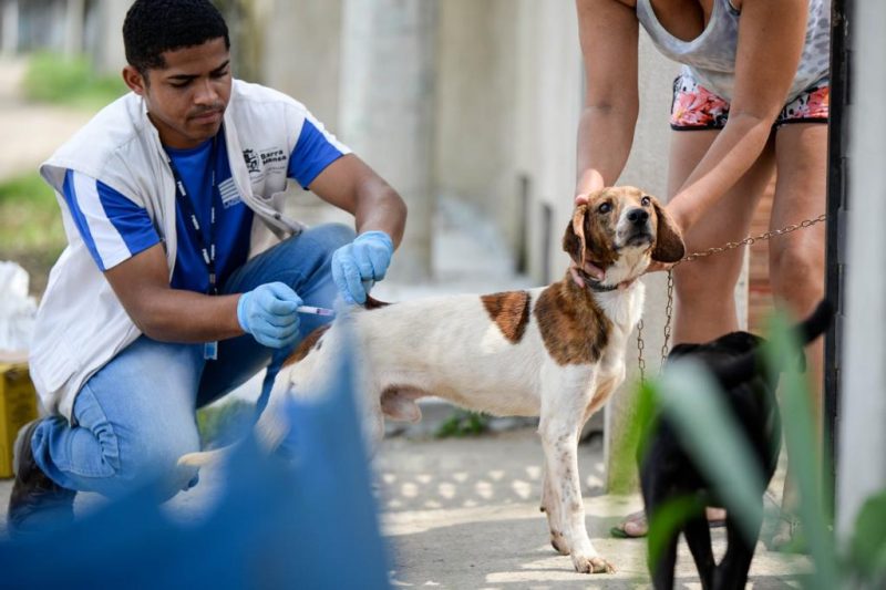 Barra Mansa continua aplicacao de vacina antirrabica – Barra Mansa