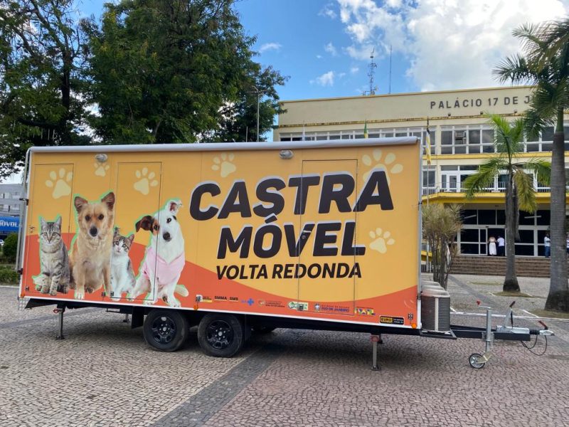 Dia Mundial dos Animais: Volta Redonda se destaca no cuidado e bem-estar animal