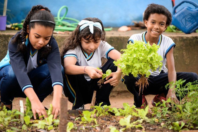 Escola Municipalizada de Rialto e destaque em acoes envolvendo agricultura