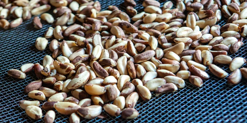 Governo abre consulta sobre certificação verde de produtos da Amazônia