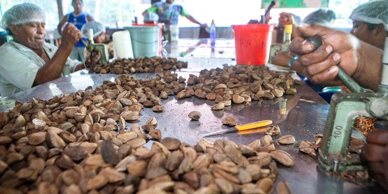 Governo estuda modelo de desenvolvimento pela sociobioeconomia