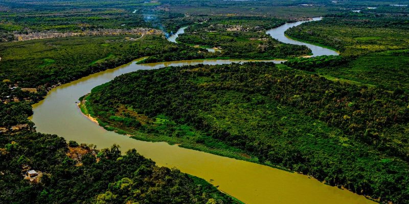 Lei do Pantanal é sacionada para garantir conservação do bioma
