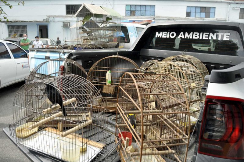1703090189 Guarda Ambiental de Barra Mansa divulga balanco de atendimentos de