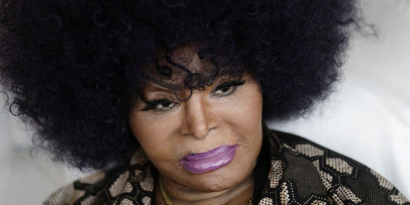 Cantora Elza Soares é uma das 5 homenageadas com estátua em São Paulo