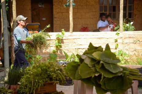 Tomaz Silva/Agência Brasil Rio de Janeiro (RJ), 19/12/2023 - Agricultores do Quilombo Dona Bilina, em Campo Grande, na Zona Oeste do Rio, preparam sua produção para entrega ao Programa de Aquisição de Alimentos (PAA). Foto: Tomaz Silva/Agência Brasil