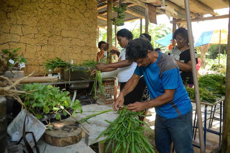 Tomaz Silva/Agência Brasil Rio de Janeiro (RJ), 19/12/2023 - Agricultores do Quilombo Dona Bilina, em Campo Grande, na Zona Oeste do Rio, preparam sua produção para entrega ao Programa de Aquisição de Alimentos (PAA). Foto: Tomaz Silva/Agência Brasil