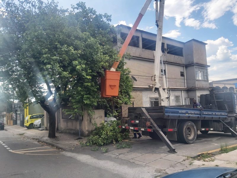 Ordem Pública intensifica podas e cortes emergenciais de árvores em Volta Redonda