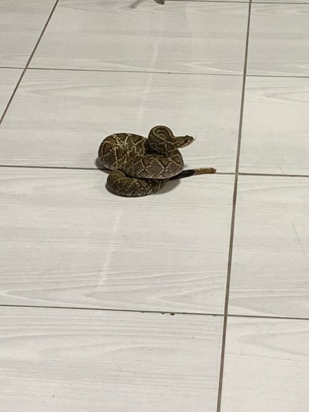 Vigilancia em Saude Ambiental de Barra Mansa alerta para cuidados