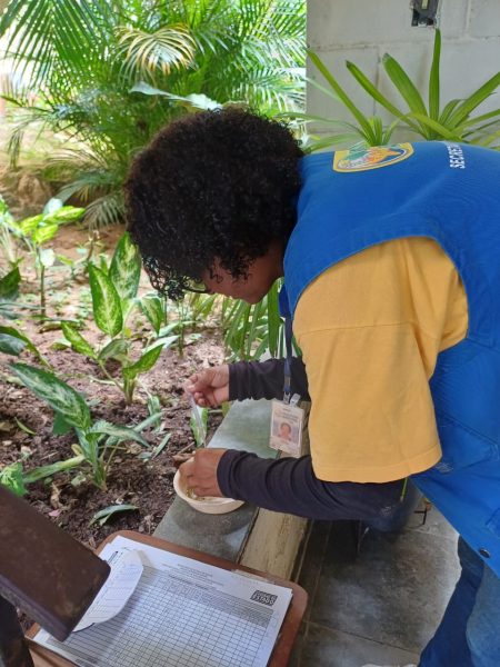 Volta Redonda: Água Limpa está recebendo força-tarefa contra a dengue