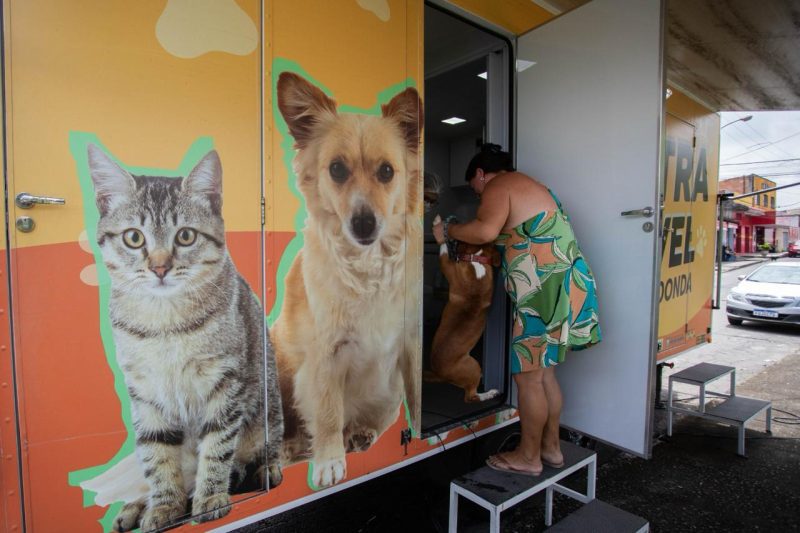 Mais de 100 animais do Vila Rica e Jardim Tiradentes devem ser atendidos pelo Castramóvel Volta Redonda
