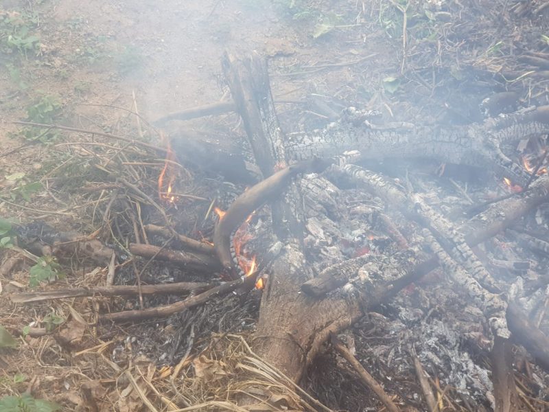 Guarda Ambiental autua responsaveis por queimadas no Jardim America –