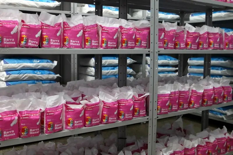 absorventes higiênicos