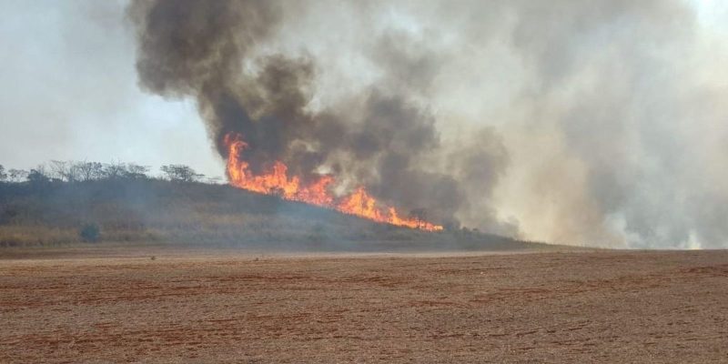 Brigadista morre durante combate a incêndio em São Paulo