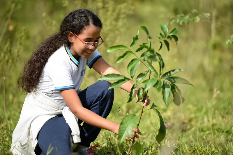 ICMS Ecológico