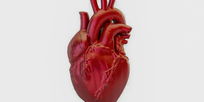Doenças cardiovasculares matam 400 mil brasileiros por ano