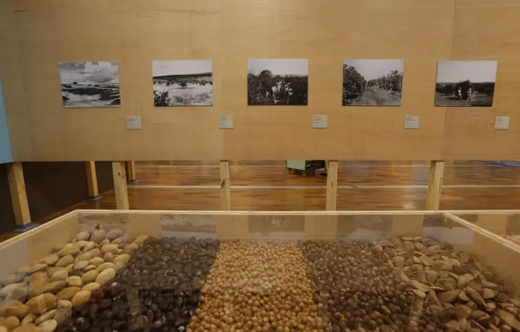 São Paulo (SP), 04/11/2024 -  A exposição “Onde há fumaça: arte e emergência climática”, o Museu do Ipiranga questiona a ideia de progresso ainda predominante, que gera a situação atual de emergência climática. . Foto: Paulo Pinto/Agência Brasil