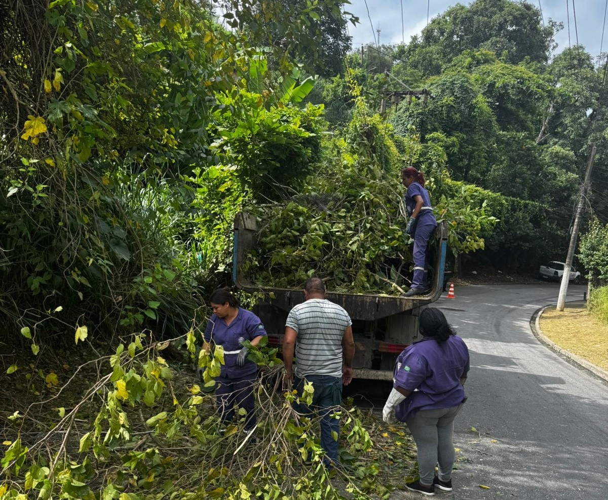 Bairro Santa Rosa recebe servicos de poda de arvores e