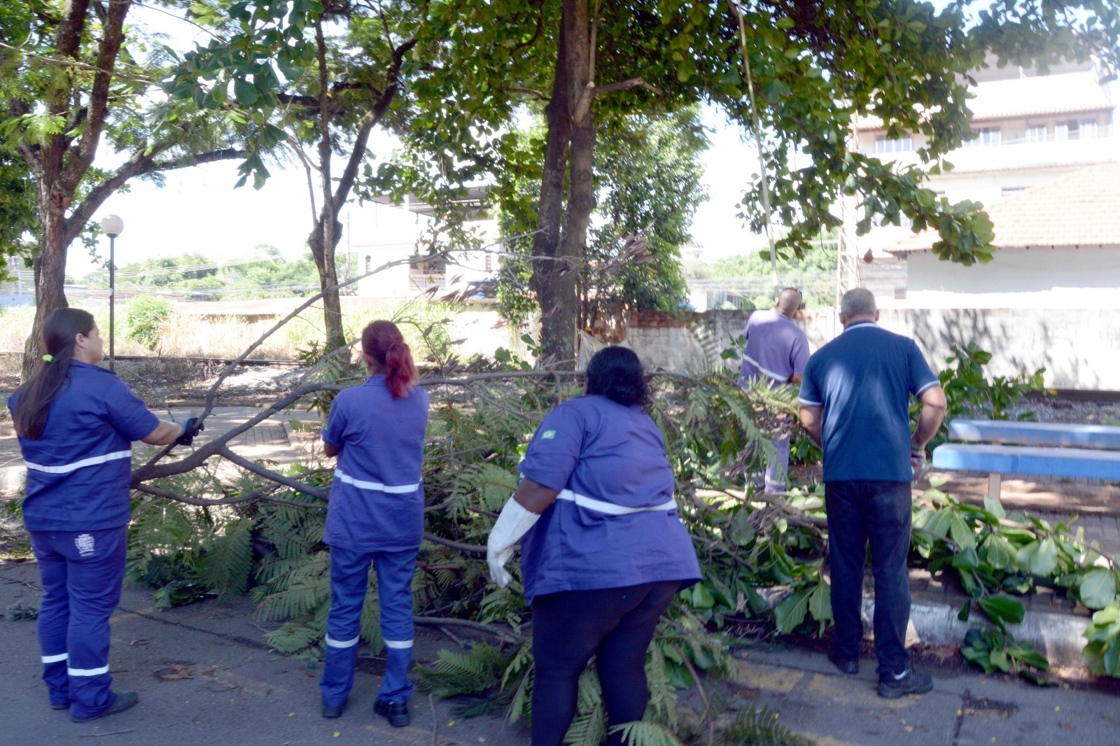 Poda de arvores e realizada no bairro Vila Nova –