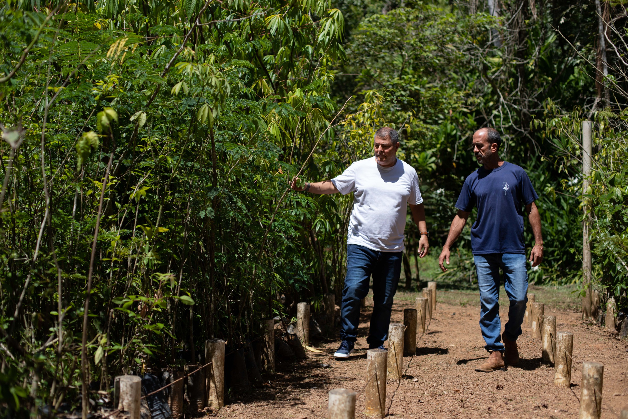 Secretaria de Meio Ambiente de Volta Redonda atua na revitalização do Parque do Ingá