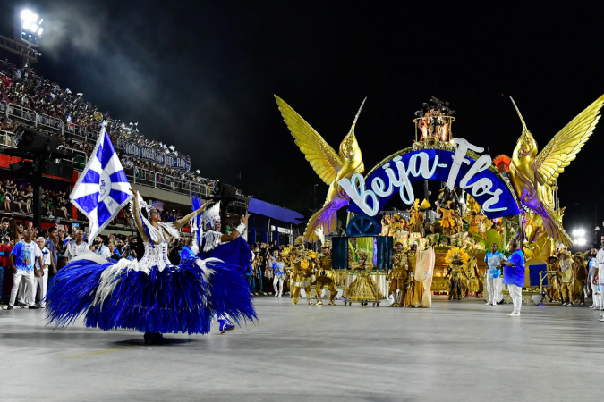 Bloco da Vida de Volta Redonda desfila com a Beija-Flor, campeã do Carnaval 2025