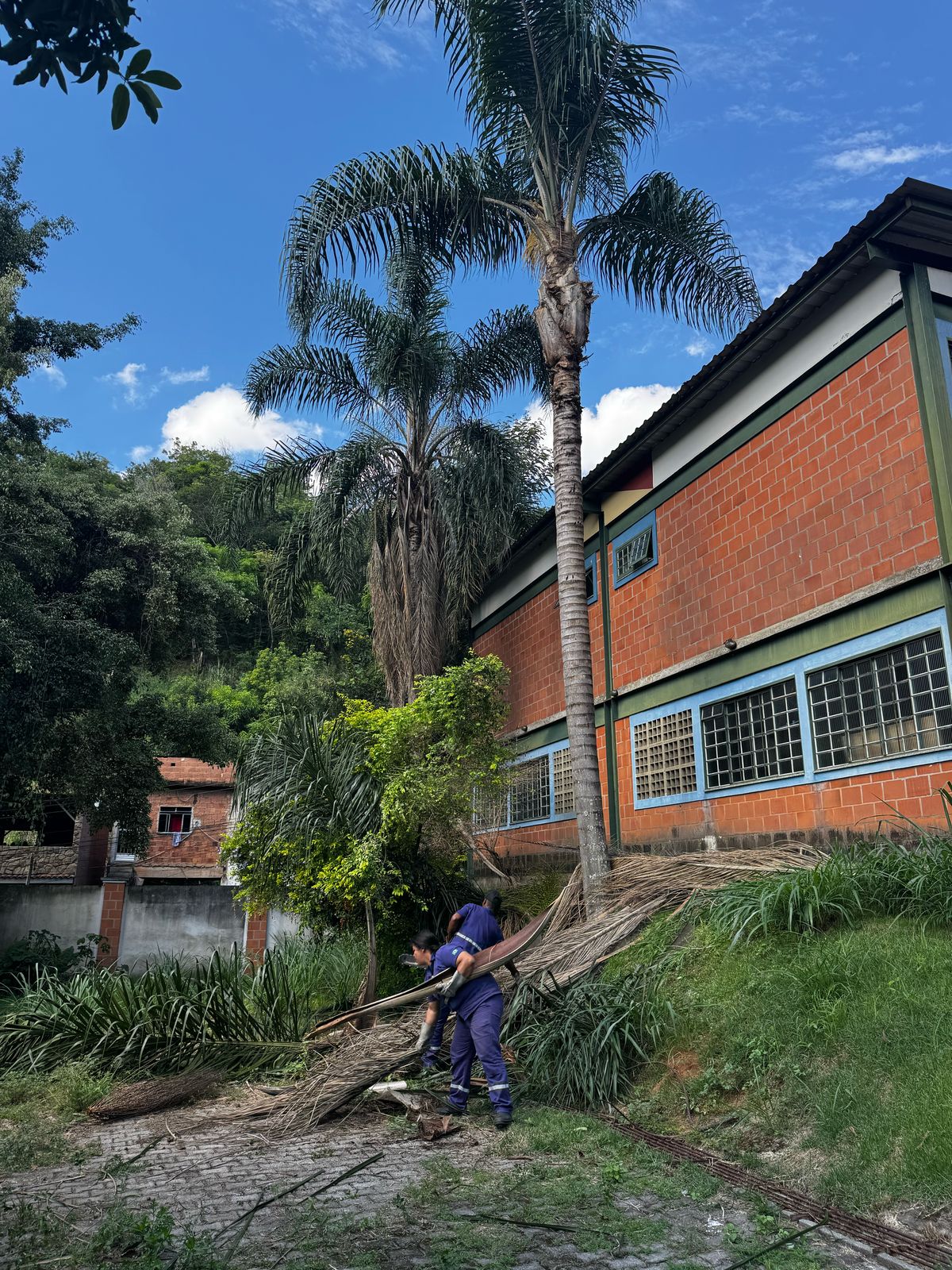 Prefeitura de Barra Mansa e Light realizam podas arvores sobre