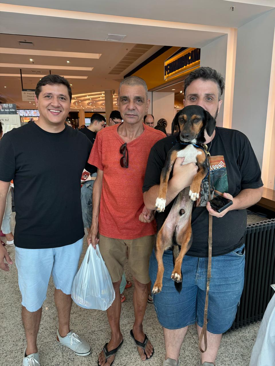 Volta Redonda: sete animais são adotados em evento da prefeitura