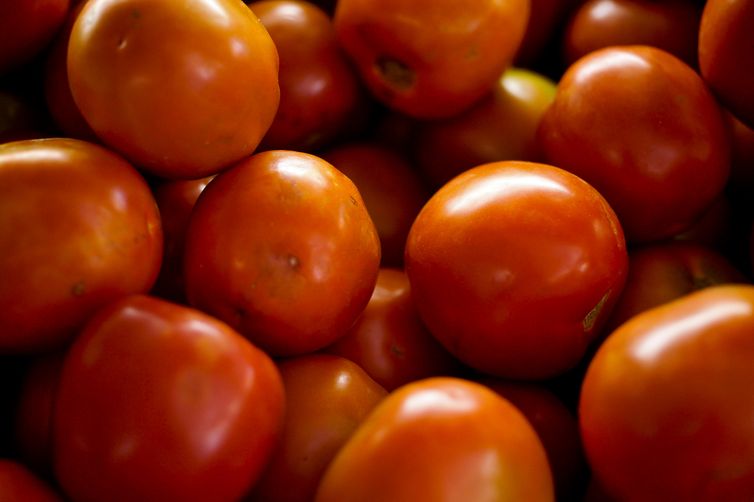 Tomates