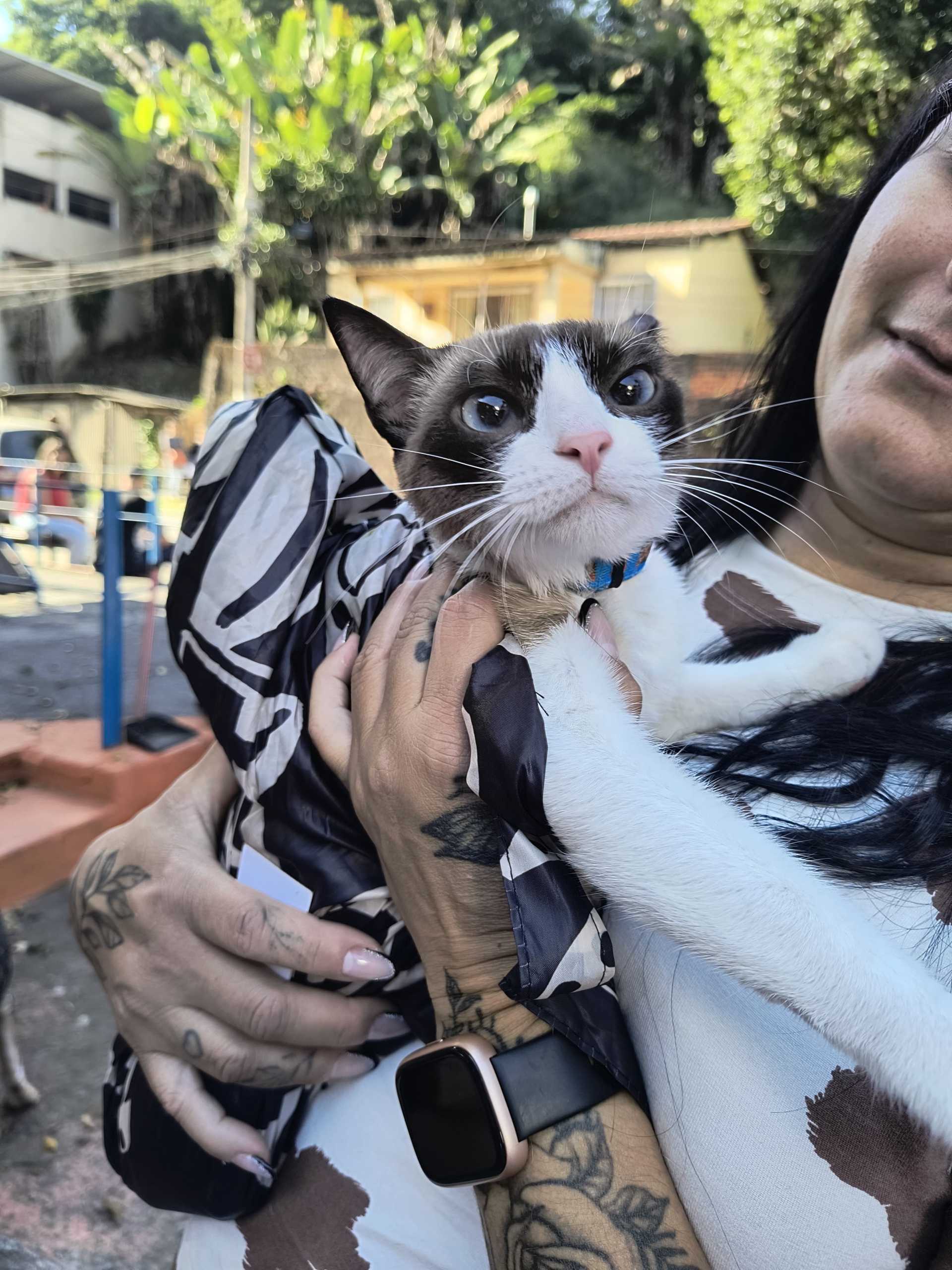 Castramovel realiza atendimentos no bairro Goiabal a partir desta segunda feira