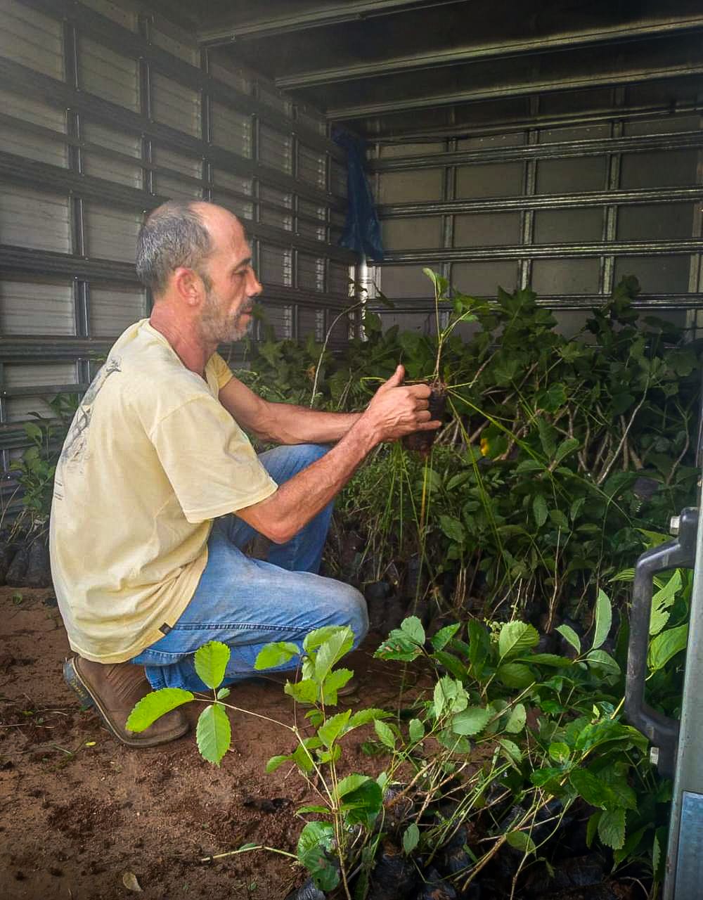 Meio Ambiente de Volta Redonda recebe do Inea mais de 2 mil mudas nativas da Mata Atlântica