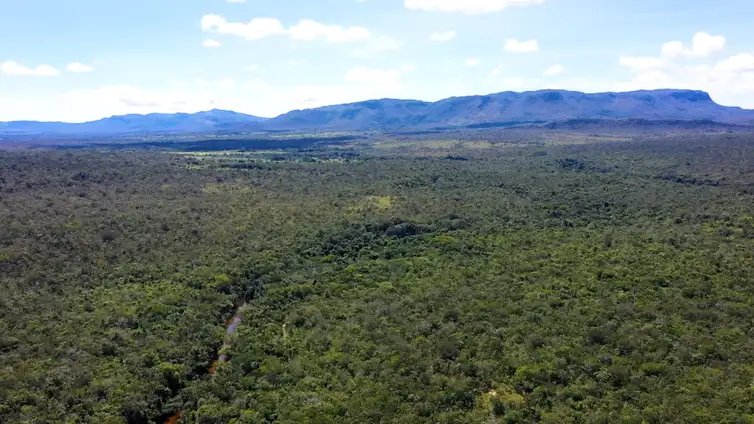 Brasília (DF) 19/05/2025 - Com o título 