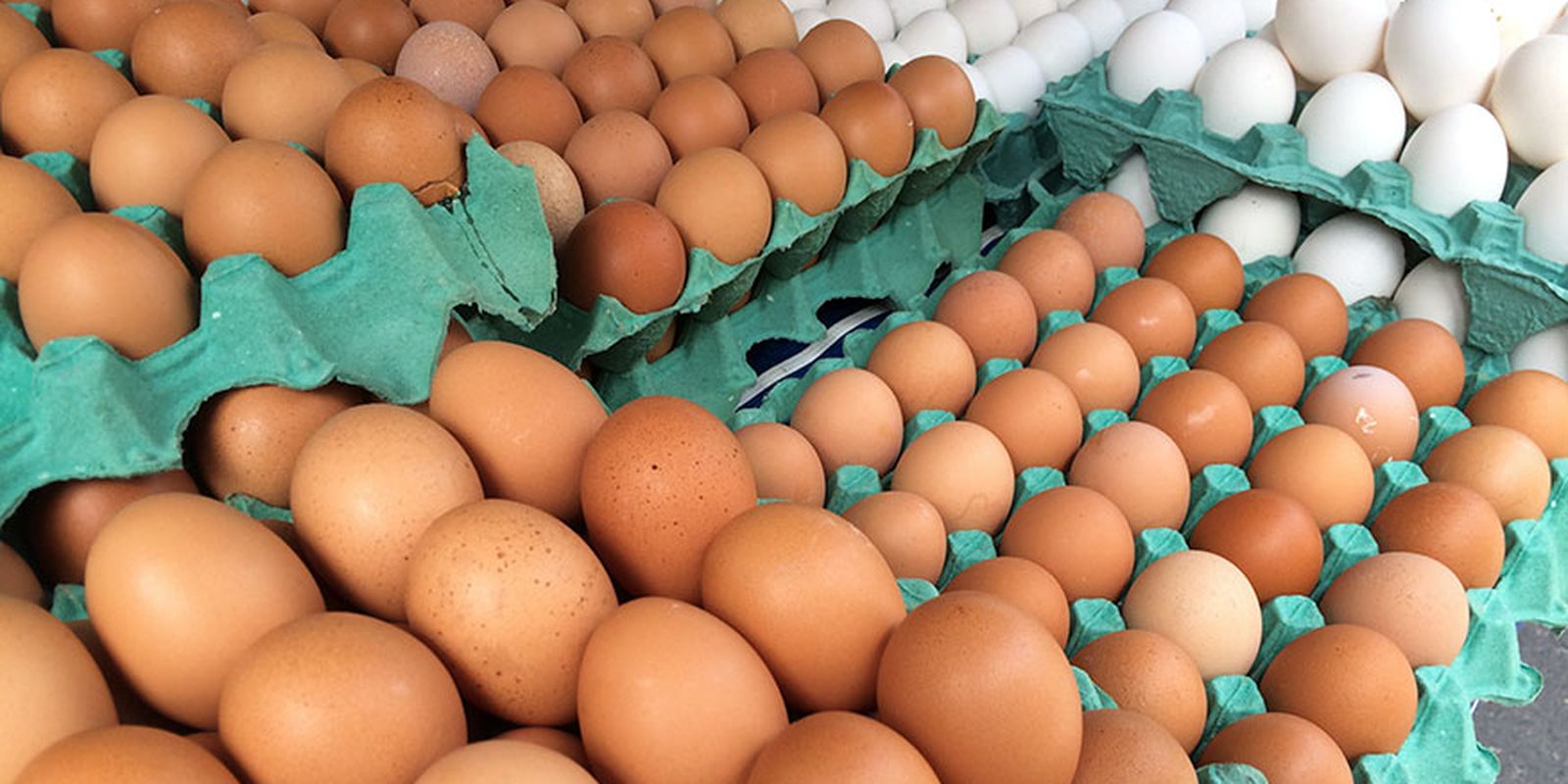 Ovos de granja com caso de gripe aviária estão rastreados, diz Mapa