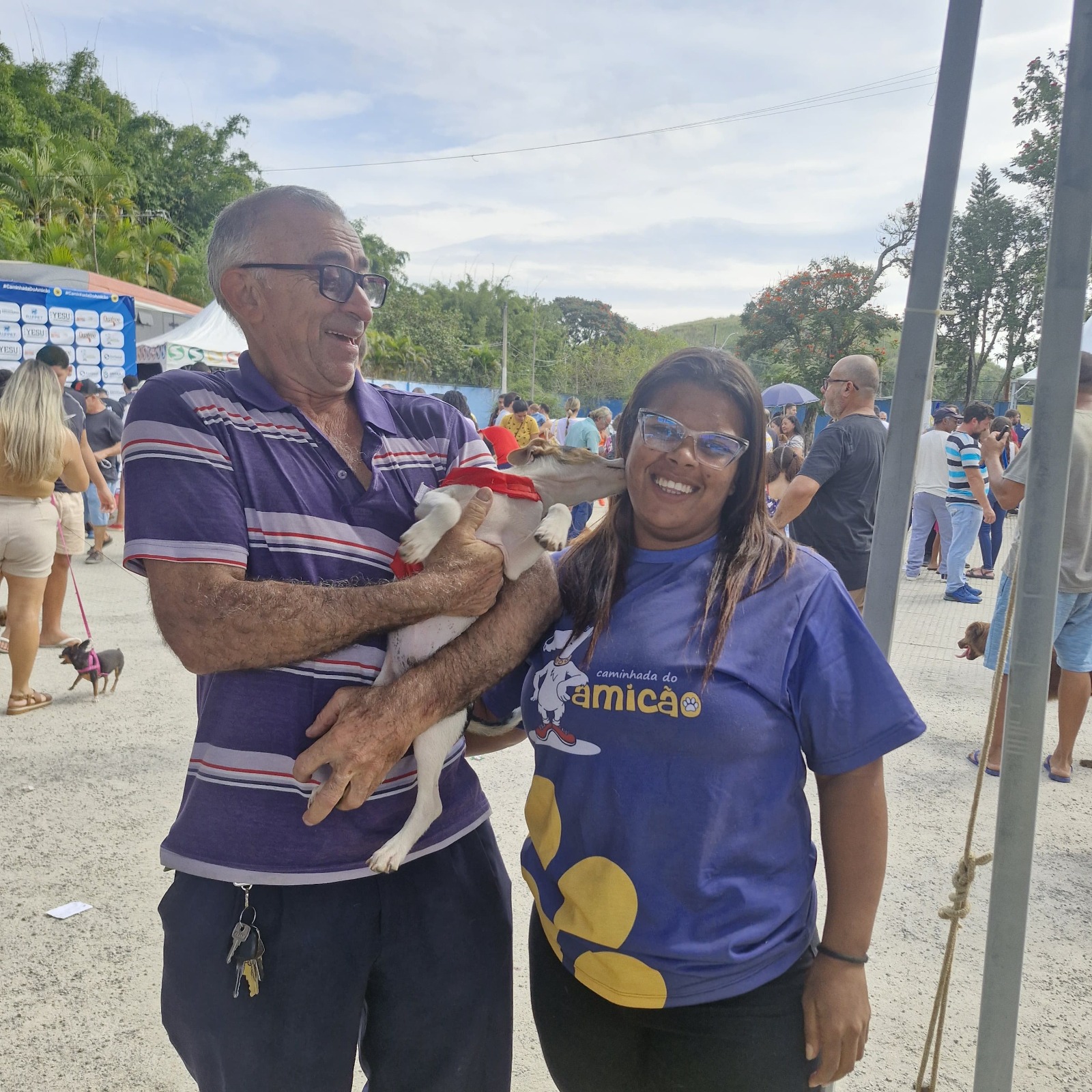 Volta Redonda: espaço de adoção ‘Família Animal’ garante novo lar para mais nove cães no fim de semana