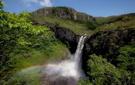 Brasília (DF) 17/02/2025 - Grupo realiza jornada para estabelecer trilha até a Chapada dos Veadeiros.
Foto: Rui Faquini/ICMBio