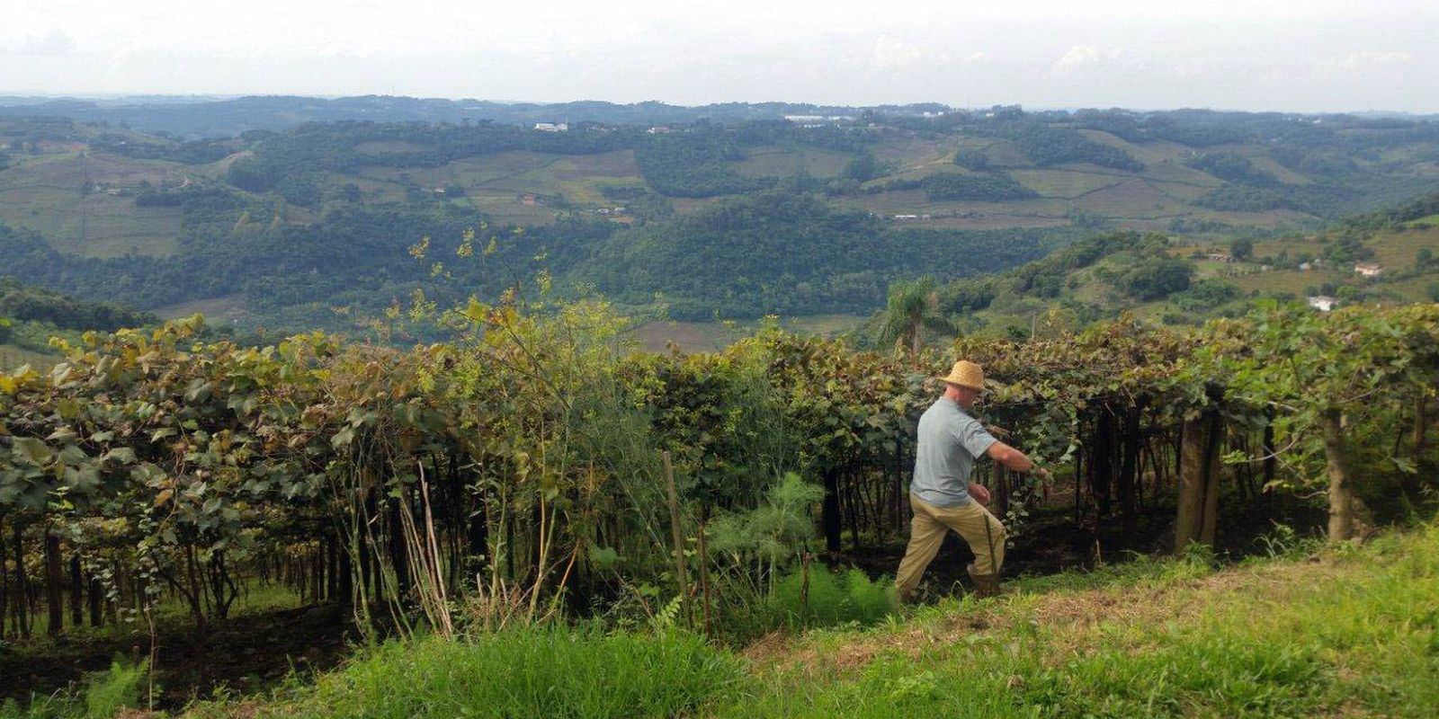 Entrega da declaração do ITR 2025 começa nesta segunda-feira