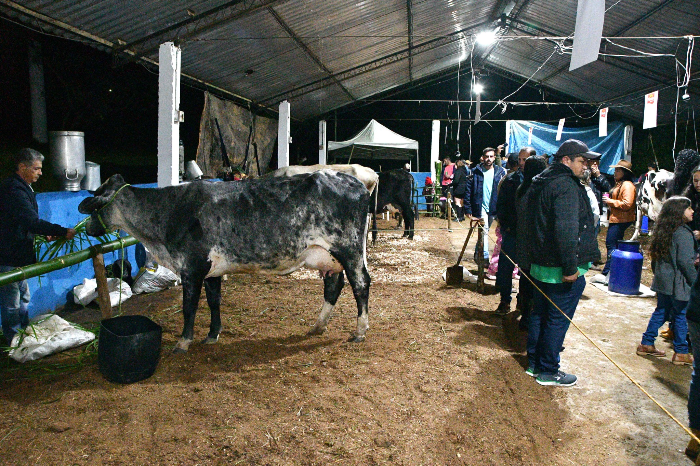25º TORNEIO LEITEIRO DA VILA DA FUMAÇA PROMETE REUNIR TRADIÇÃO, COMPETIÇÃO E MÚSICA EM RESENDE