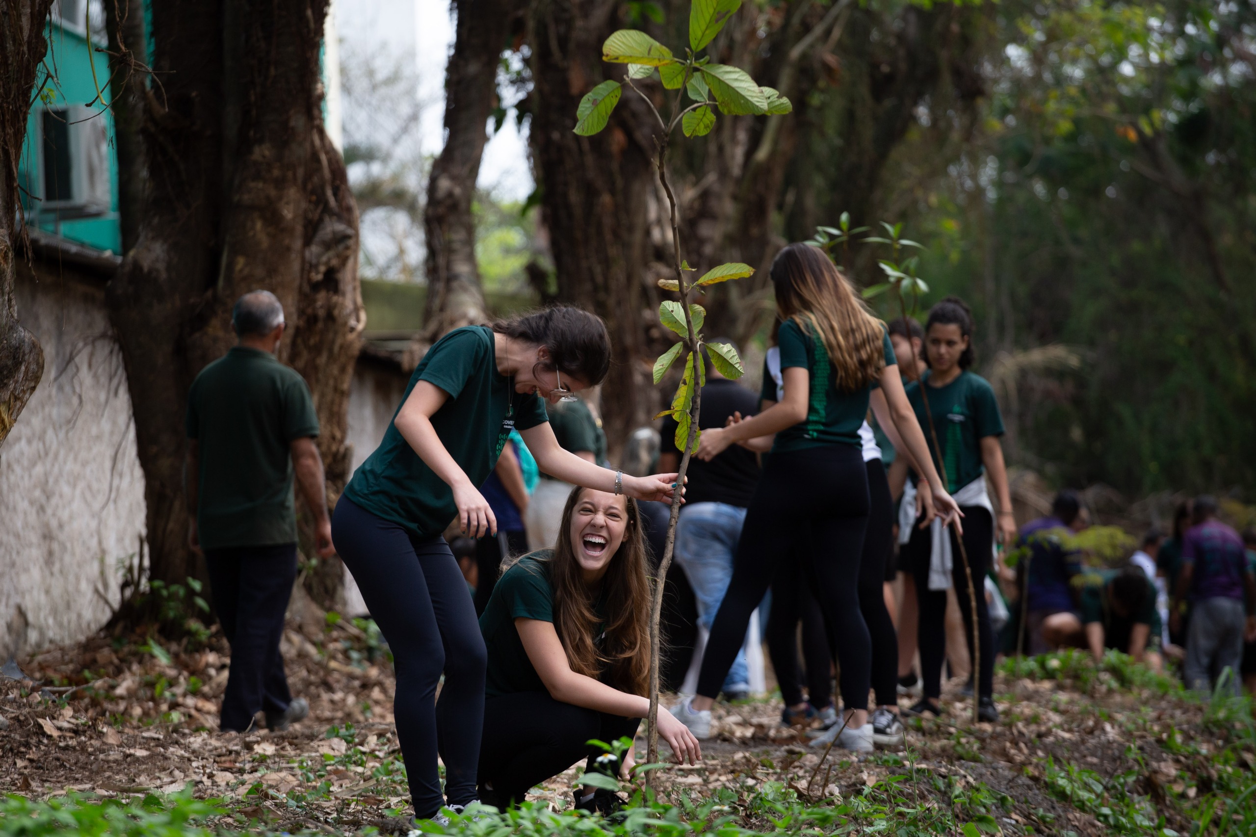 Secretaria de Meio Ambiente de Volta Redonda inicia trabalho de reflorestamento de Área de Preservação Permanente