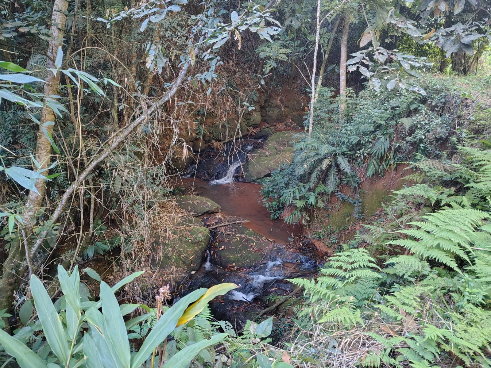 Unidades de Conservacao de Barra Mansa recebem monitoramento preventivo –