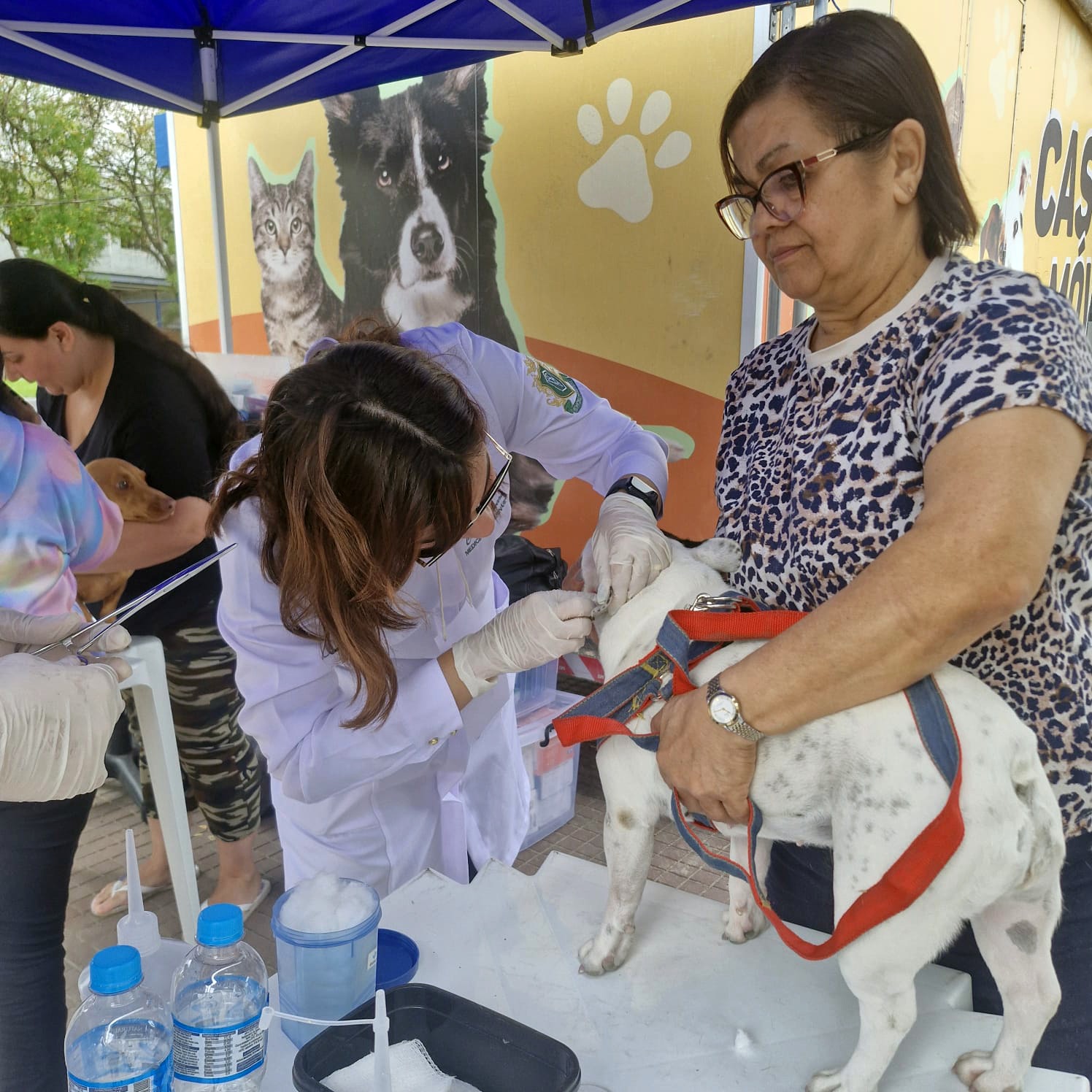 VetMóvel realiza 290 atendimentos a cães e gatos no bairro Retiro, em Volta Redonda