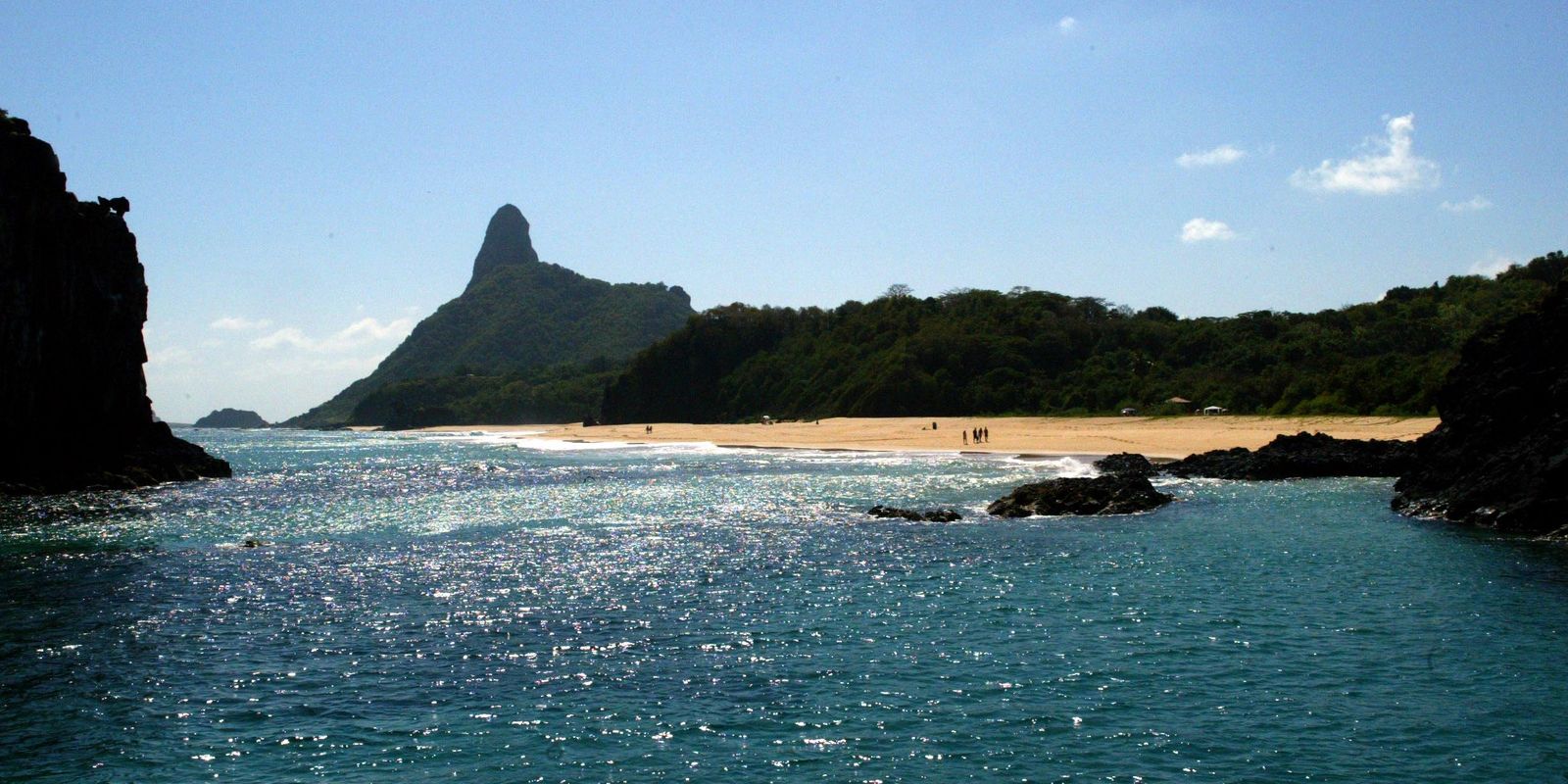 Ilhas brasileiras: estudo revela presença de espécies exclusivas
