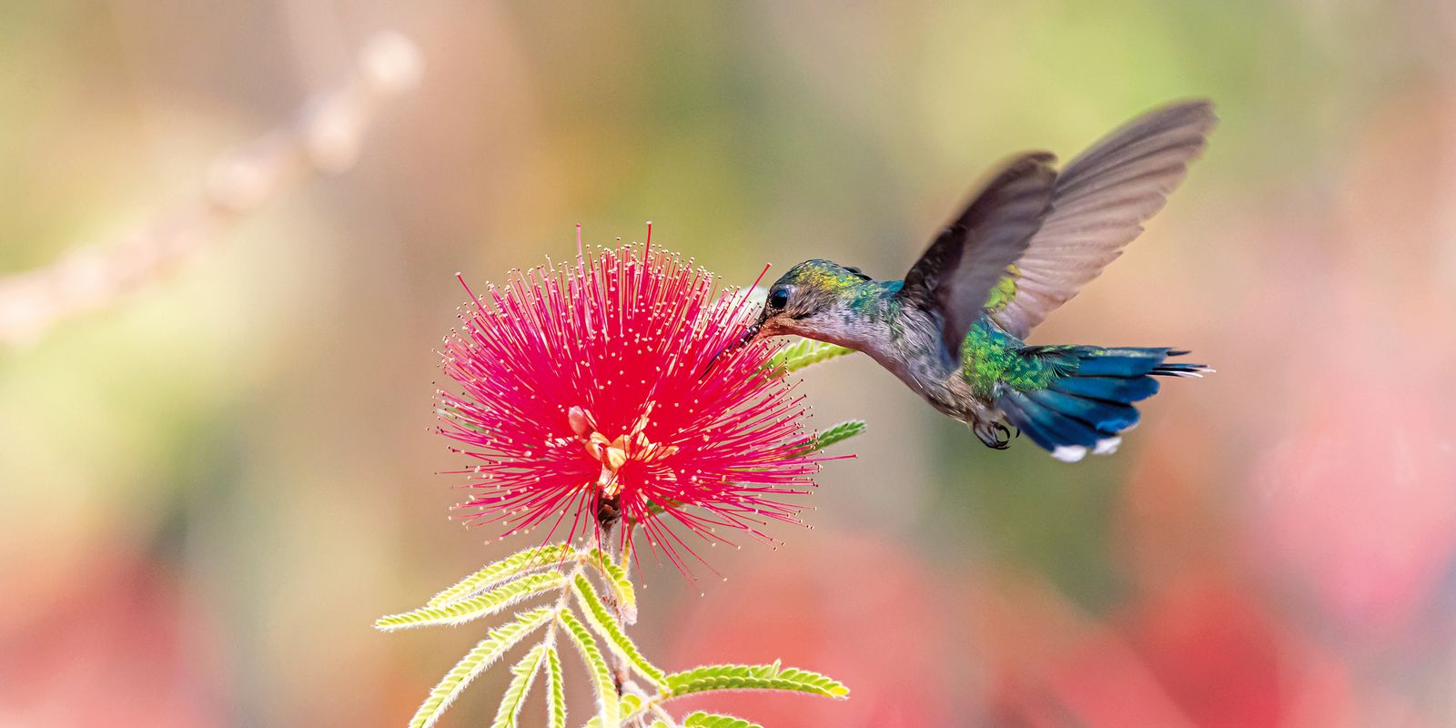 Primavera começa com ondas de calor e baixa umidade no país