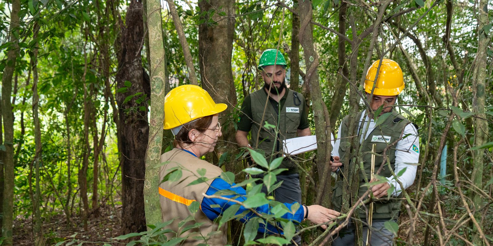 Itaipu triplica diversidade florestal nos arredores do reservatório