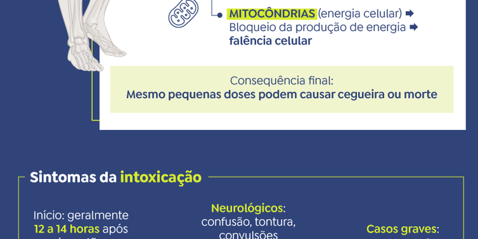 SP disponibiliza mais duas mil ampolas de antídoto contra metanol