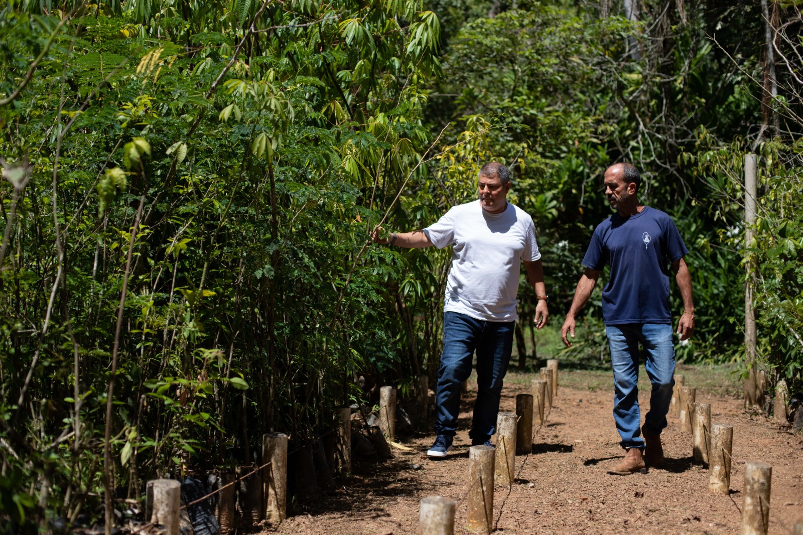 ICMS Ecológico gera quase R$ 6 milhões para Prefeitura de Volta Redonda em 2025