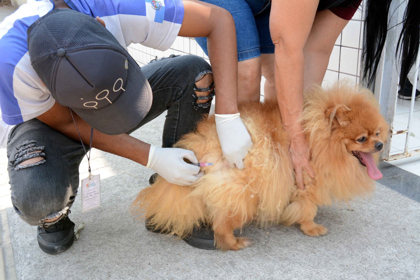 Vacinacao antirrabica leva protecao e cuidado aos pets de Barra