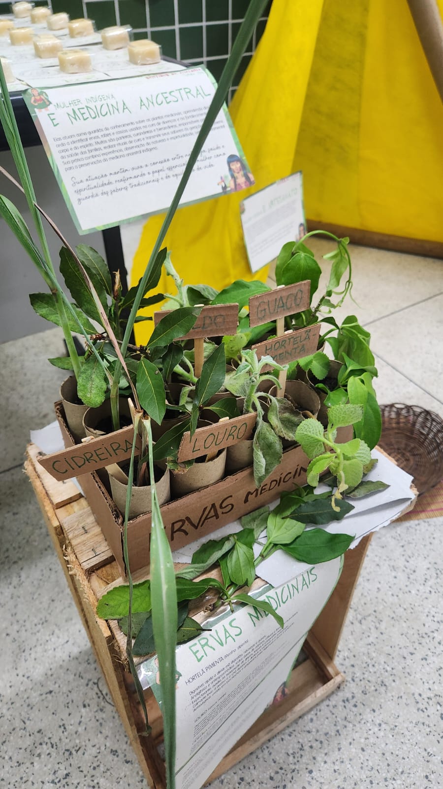 Colégio José Botelho de Athayde, em Volta Redonda, promove exposição focada no meio ambiente e na sustentabilidade