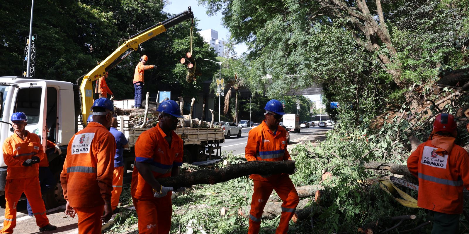 Após ventania, São Paulo tem 1,5 milhão de clientes sem energia