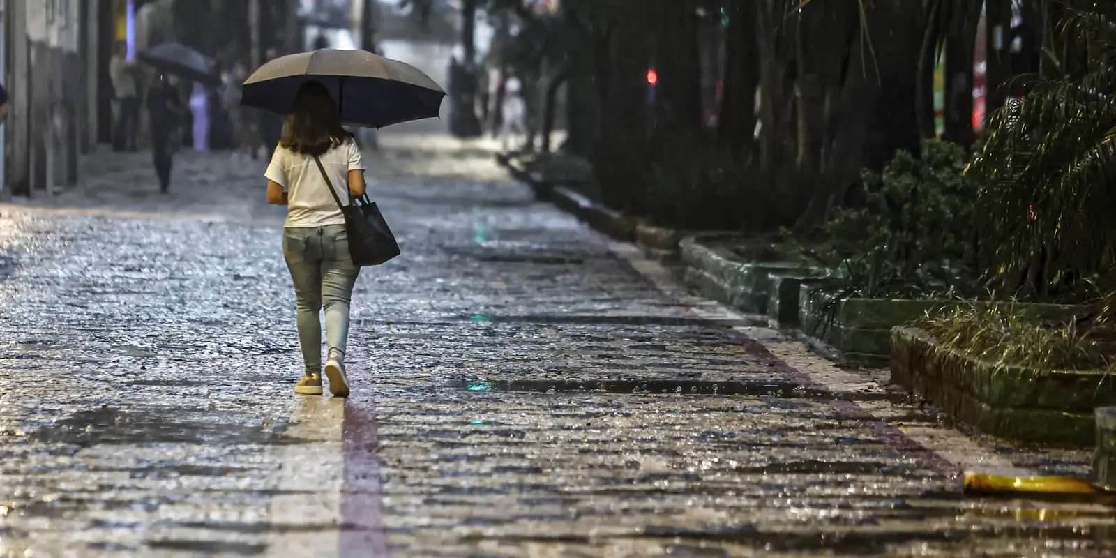 Saiba em que regiões do Brasil deve chover acima da média no verão