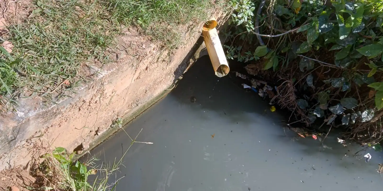 Quilombo em Cabo Frio denuncia despejo de esgoto na comunidade